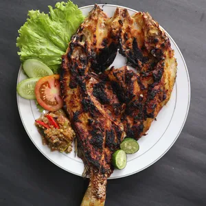 Nagroor Fish