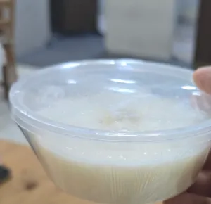 Rice Pudding