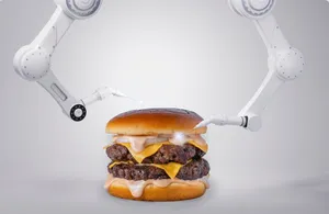 Code Burger