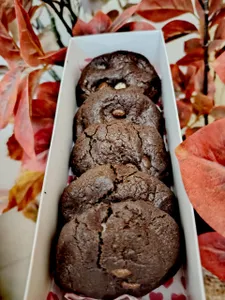 Double chocolate cookies