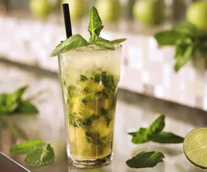 Lemon Mint Mojito