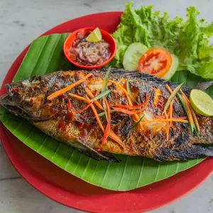 Koffer Fish
