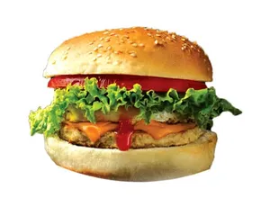 Chicken Grill Burger